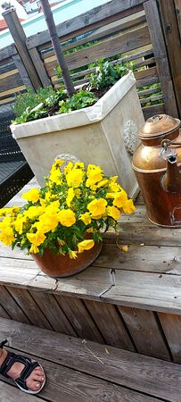 普林斯卡尔酒店主图