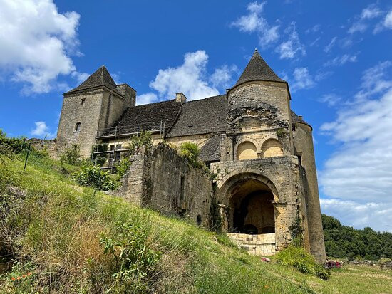 Château de Salignac景点图片