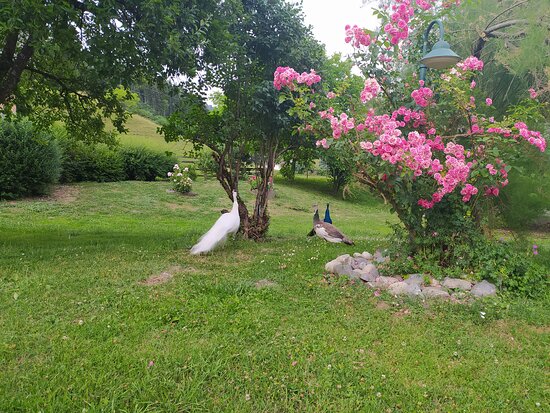 Biogasthof Wanker-官方