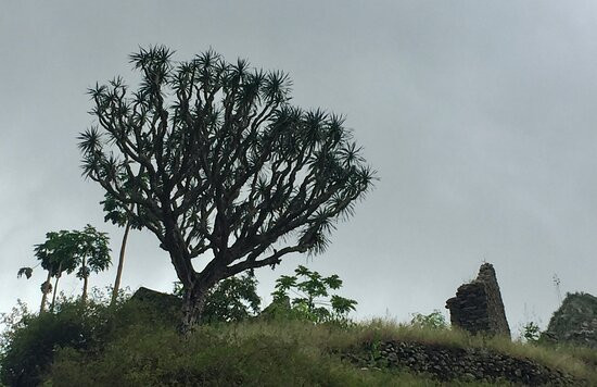Ecolodge Cap Vert San Antao Kasa D'igreja Hébergement主图