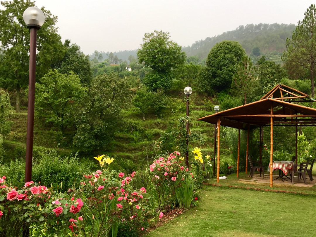 The Calm Cottages