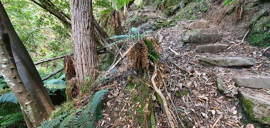 O'Grady's Falls Aka Oates Falls