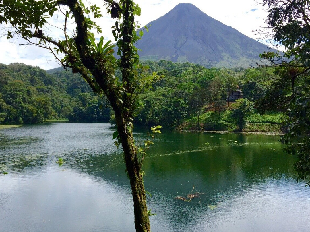 Arenal Volcano Ecological Park景点图片