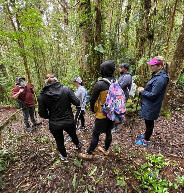 Cerro de la Muerte-圣何塞省必去景点