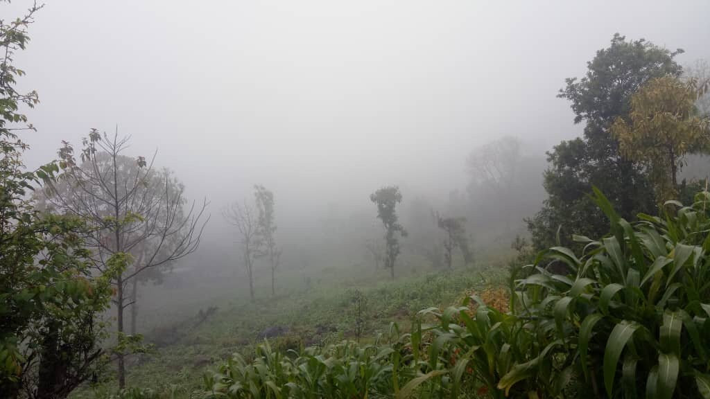 乞力马扎罗山景观旅馆主图