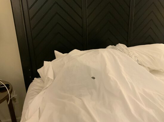 Briar Barn Inn主图