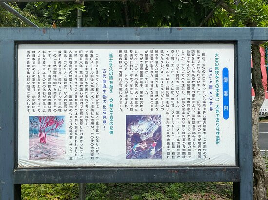 Yugen Cave-一关市必去景点
