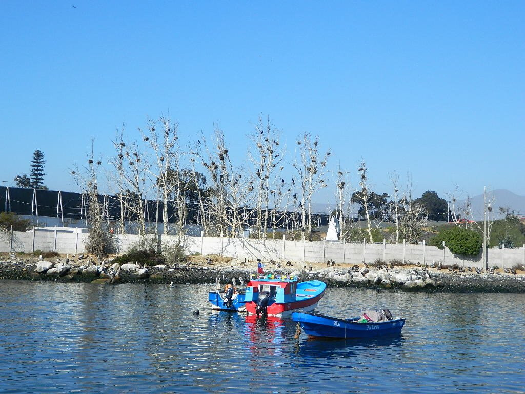 Caleta De Guayacán-Coquimbo必去景点