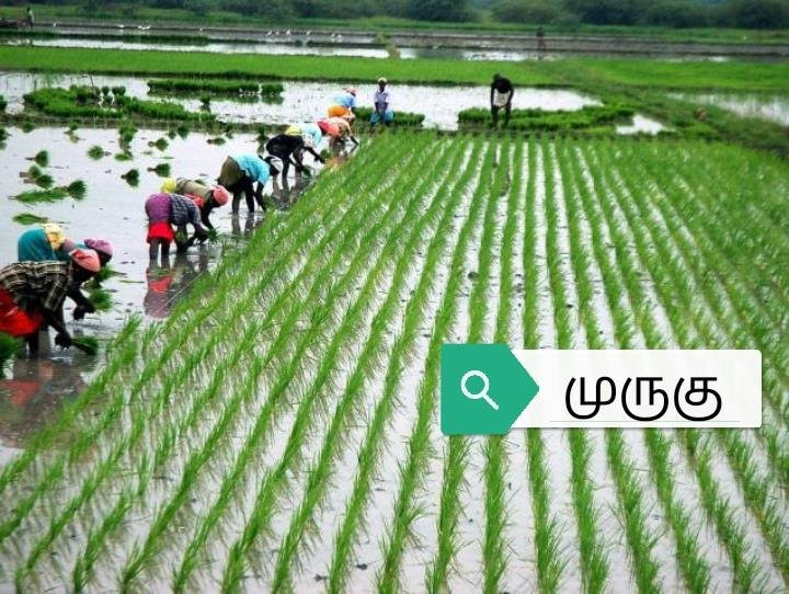 முருகு (MURUGU)景点图片