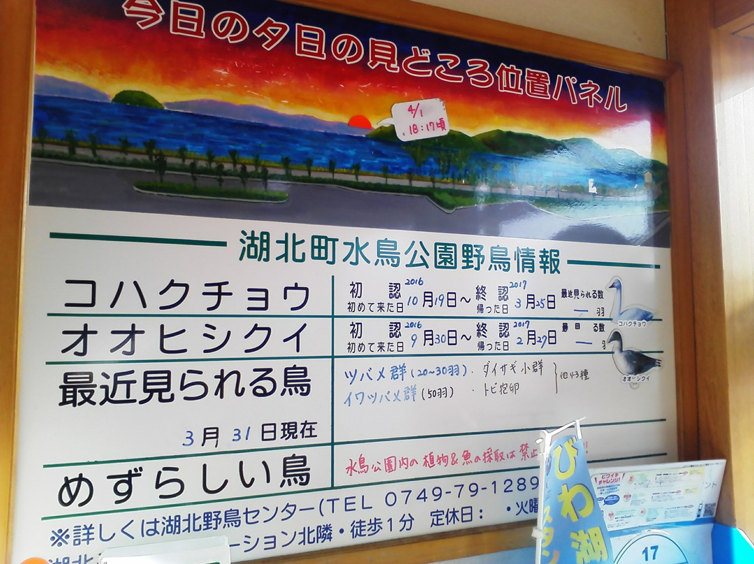 Michi-no-Eki Kohoku Mizudori Station-长滨市必去景点