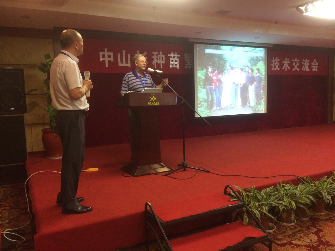 扬子江大酒店主图