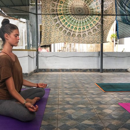 Loving Earth Yoga景点图片