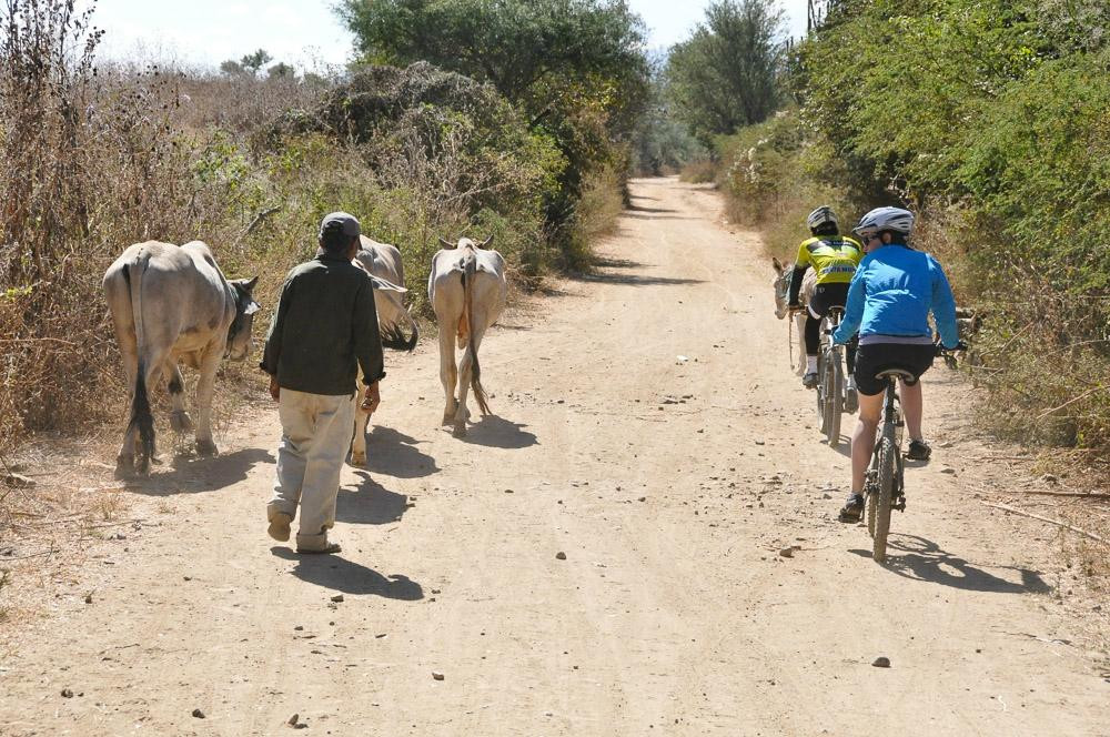 Bicicletas Pedro Martinez-瓦哈卡必去景点