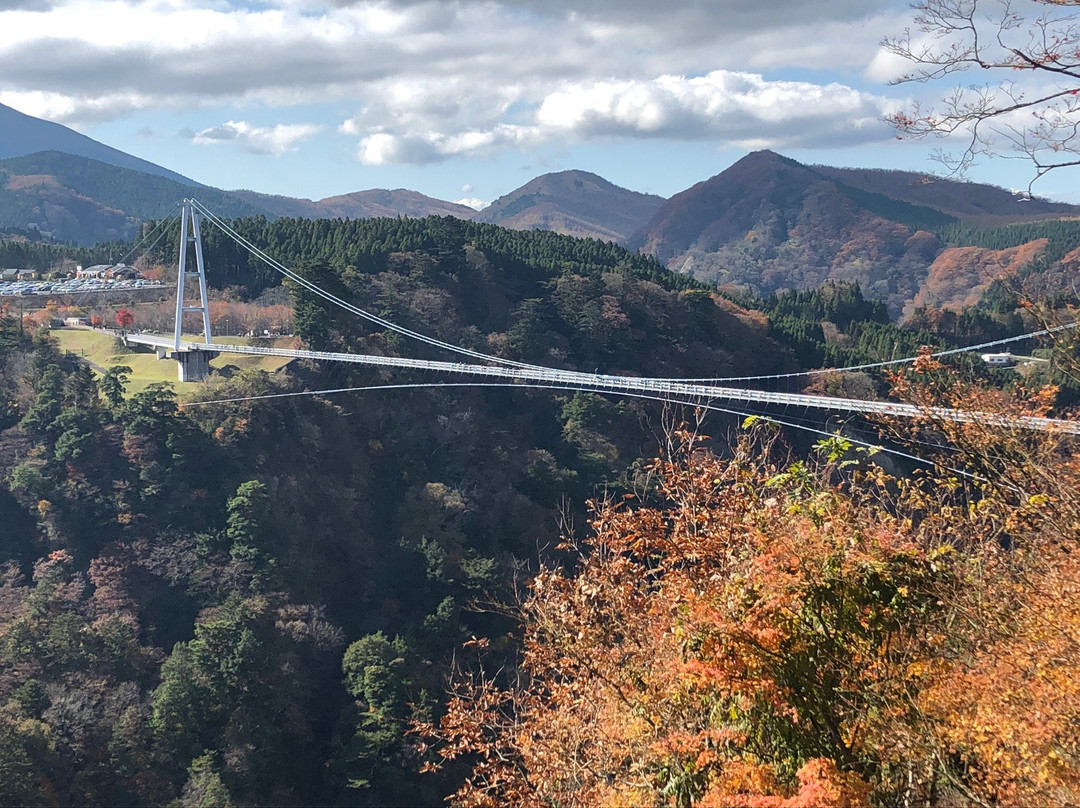 Kokonoe Yume Otsurihashi Bridge景点图片