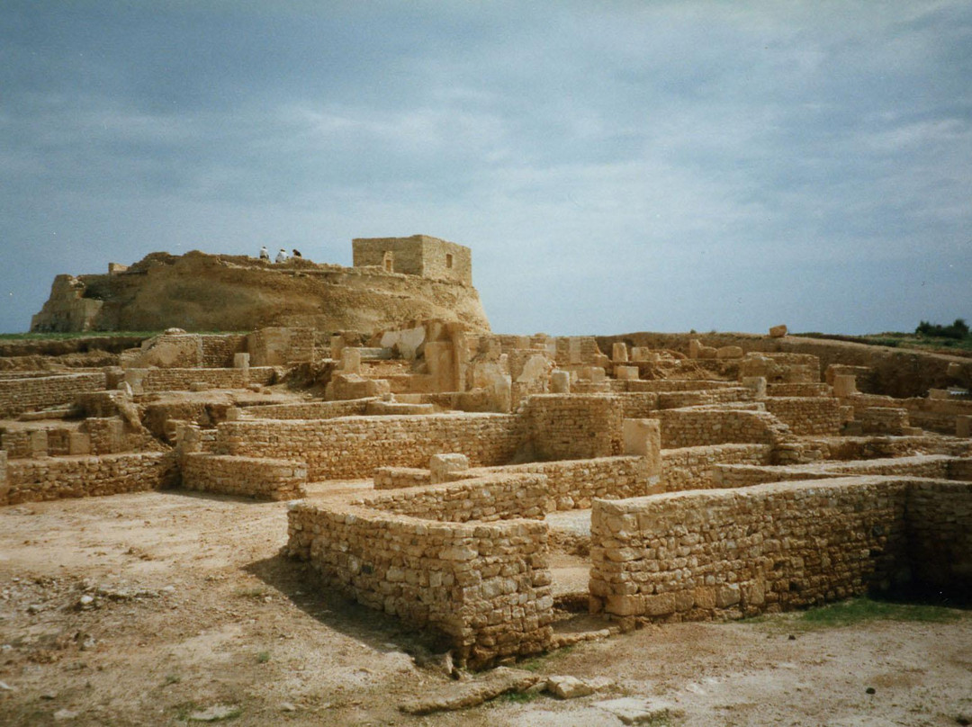 Kerkennah Islands旅游攻略图片