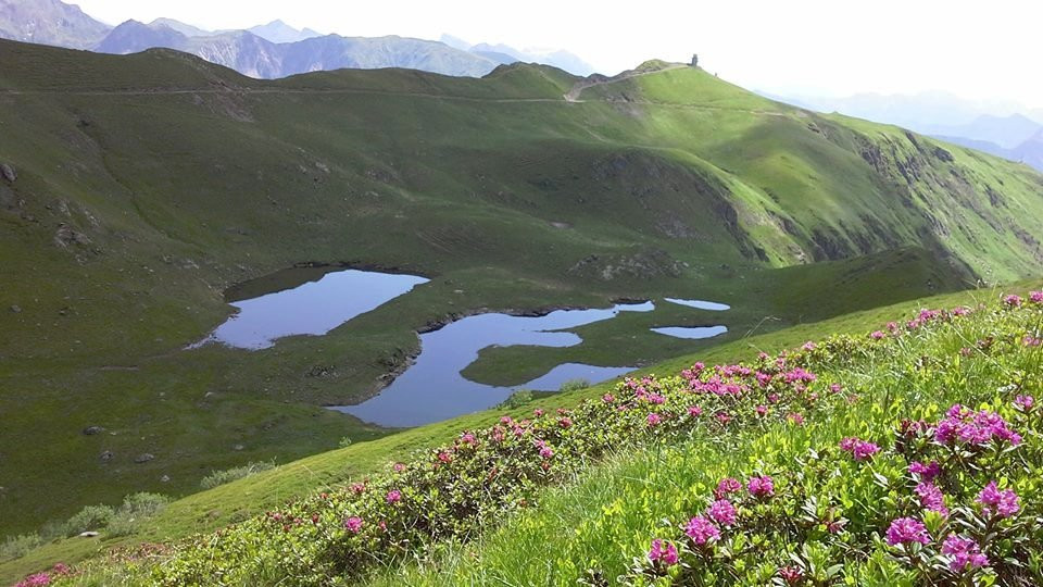 Cercivento旅游攻略图片