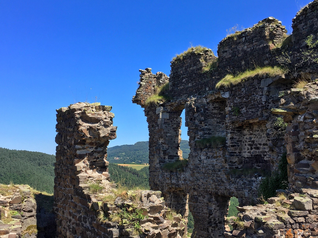 Chateau d'Artias景点图片