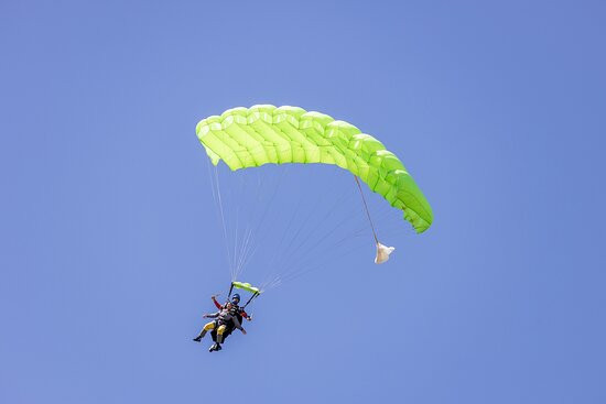 GoSkydive New Zealand景点图片