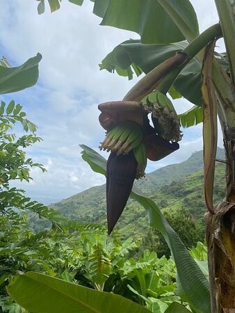 KURUMBIZI TOURS & SAFARIS-莫洛哥罗必去景点