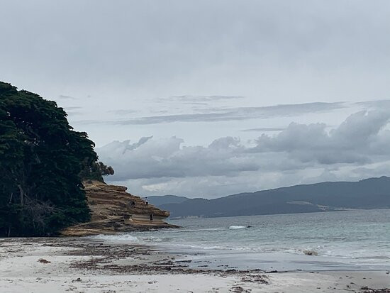 Encounter Maria Island景点图片