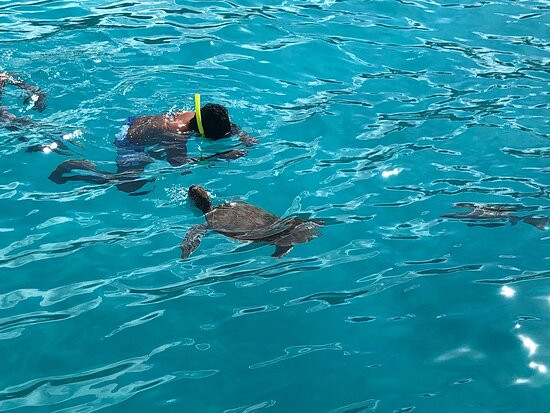 Action Charters-Maxwell必去景点