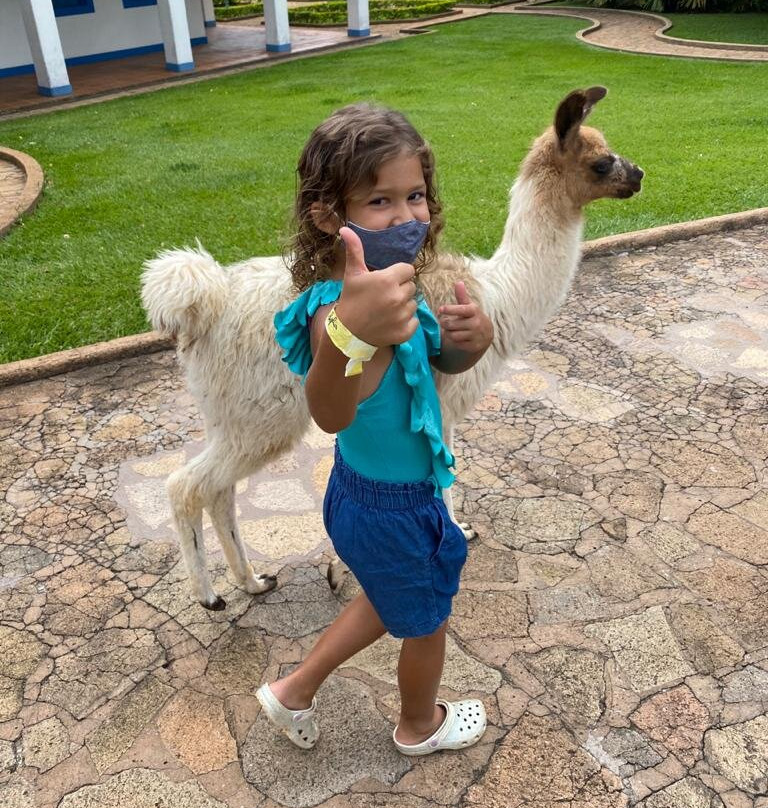 Hotel Carroção主图