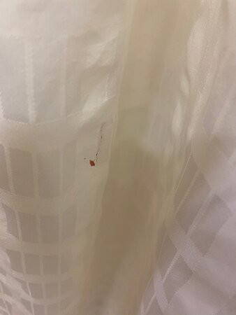 Extended Stay America - Washington, D.C. - Germantown - Milestone主图