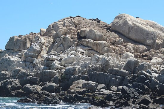 Mirador Cochoa-比尼亚德尔马必去景点