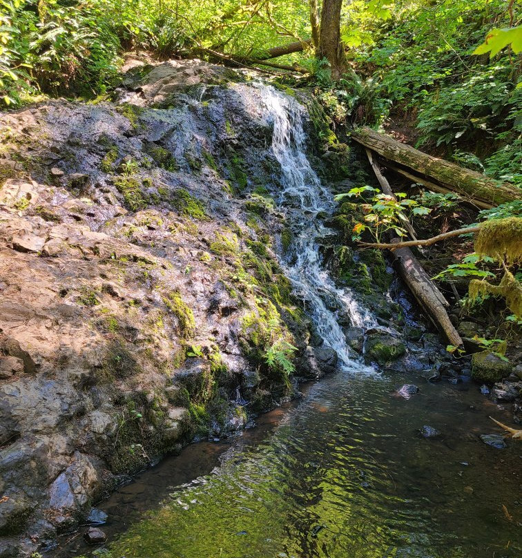 Mima Falls-Littlerock必去景点