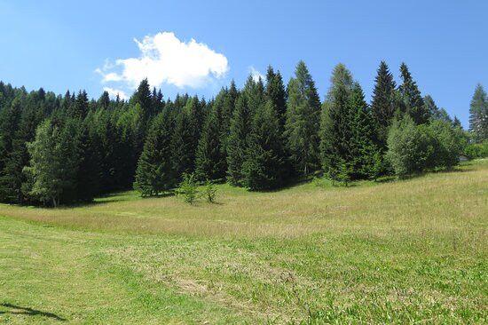 Albergo Al Cocul主图