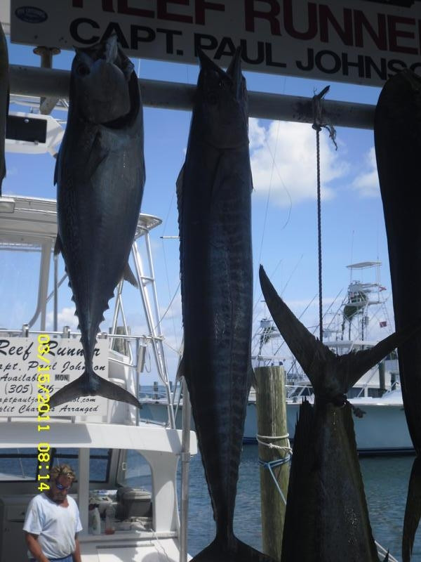 Reef Runner-伊斯拉摩拉达必去景点