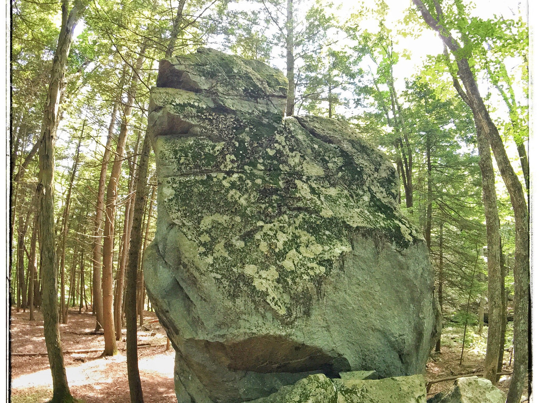 Nimham Mountain State Forest景点图片