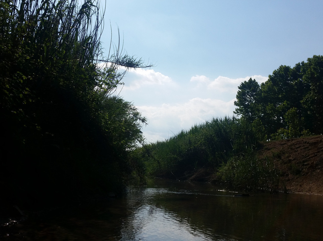 Estany de Sils景点图片