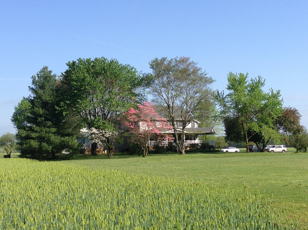 Greenwood旅游攻略图片