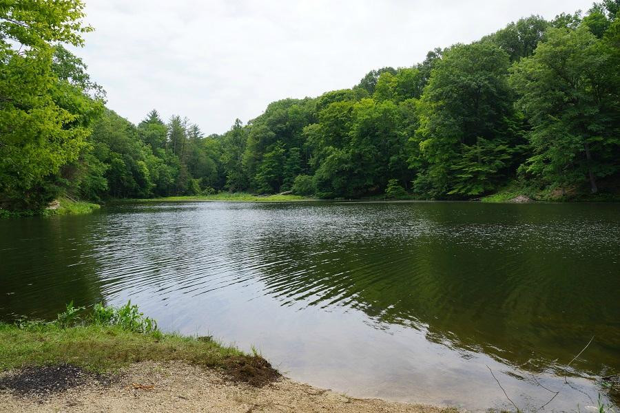 Morgan-Monroe State Forest-Martinsville必去景点