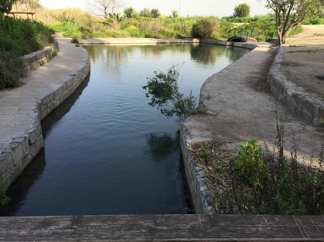 Nir David旅游攻略图片