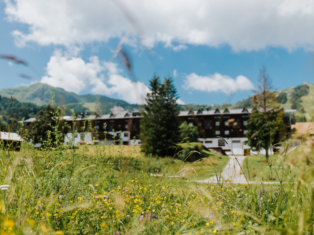 Ravascletto酒店住宿-Hotel Enzo Moro