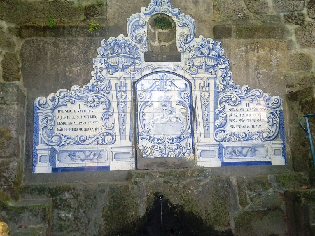 Fonte De São Martinho景点图片