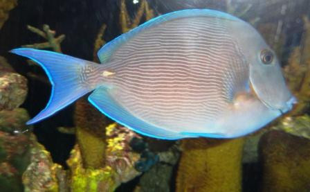 The Loxahatchee River Center