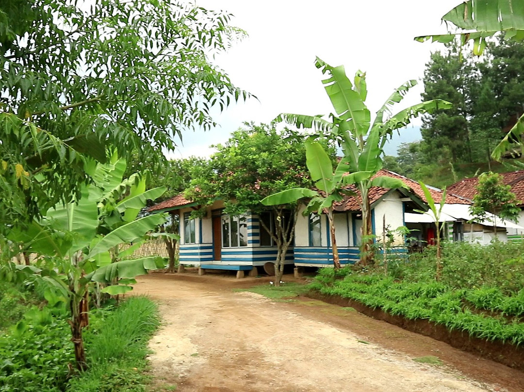 Tajur Village景点图片