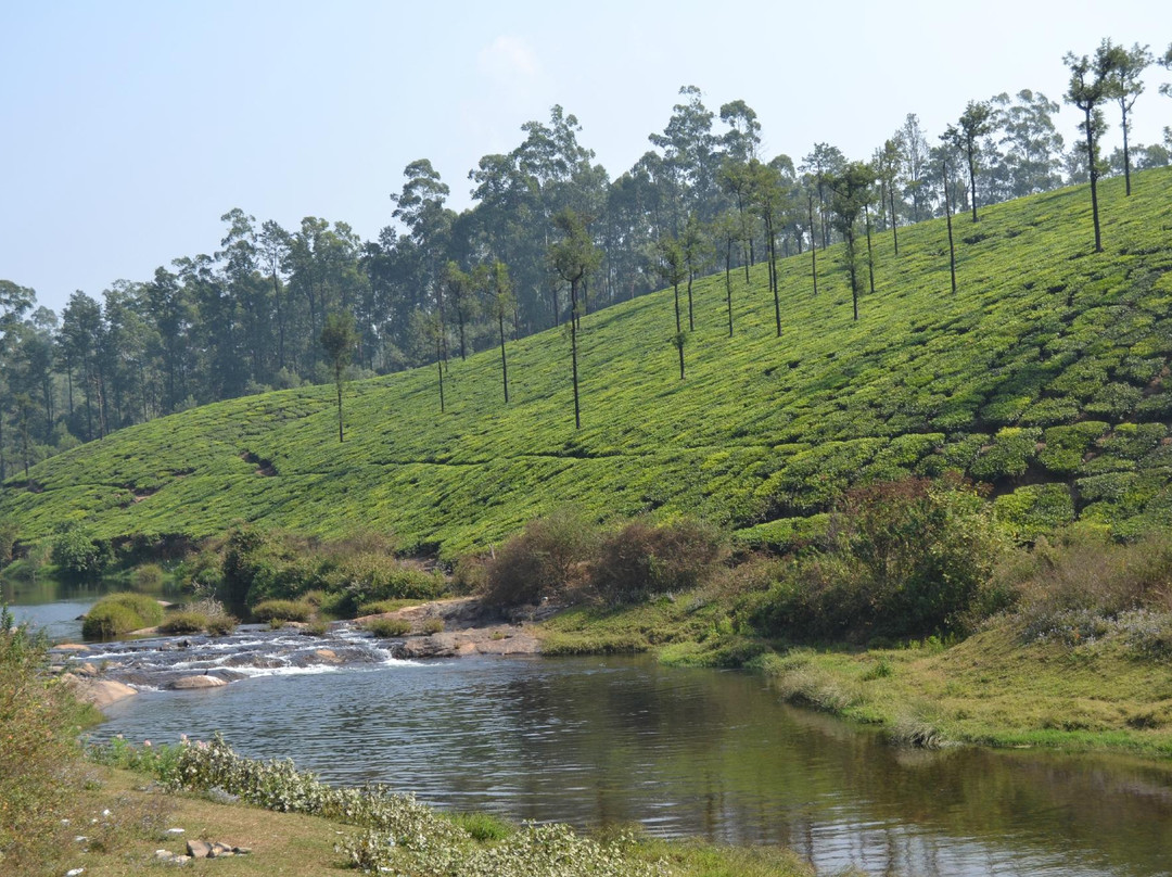 Koolangal River景点图片