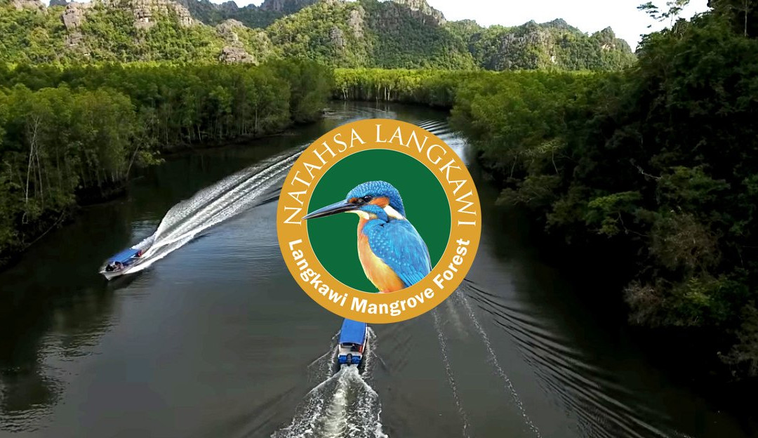 Natasha's Mangrove Nature Tour-兰卡威必去景点