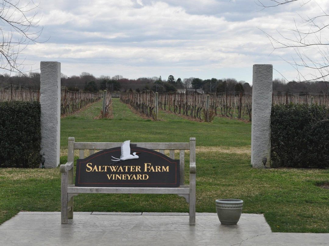 Saltwater Farm Vineyard景点图片