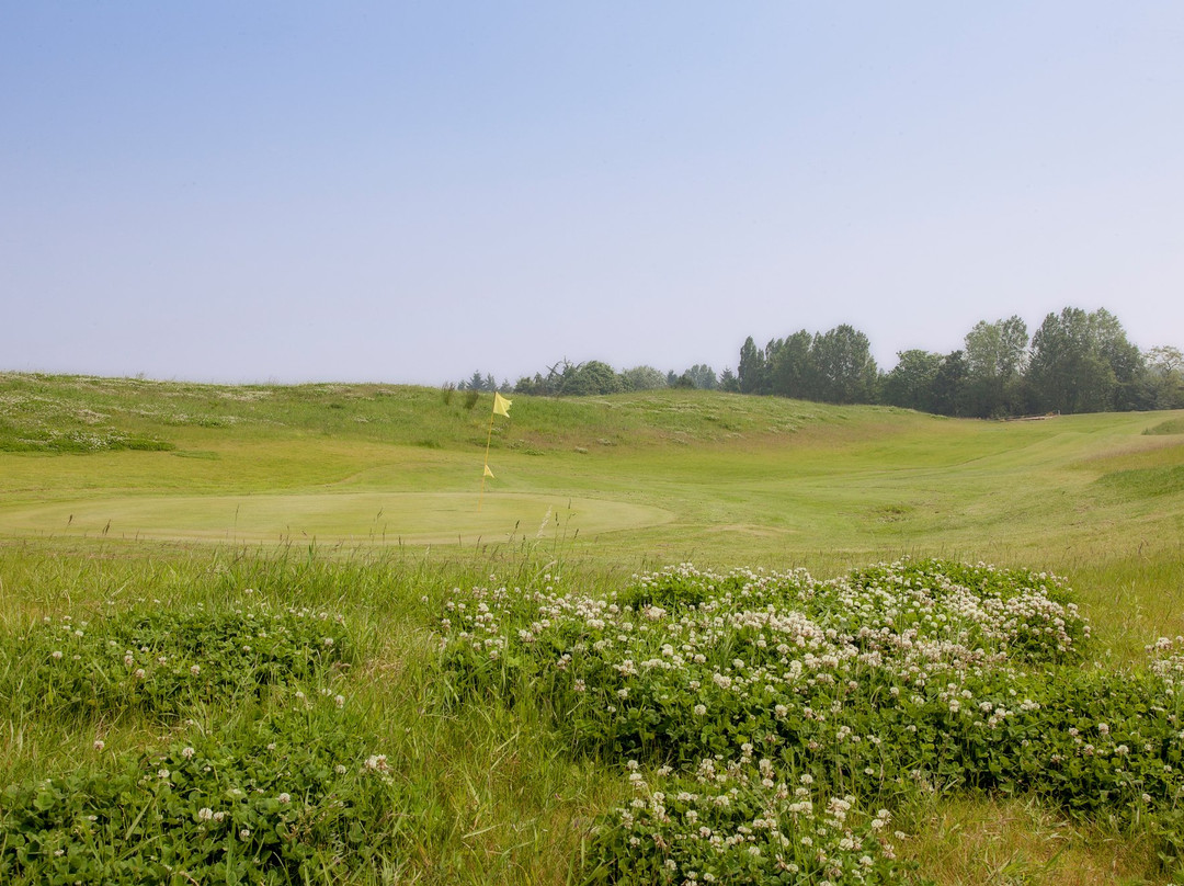 Daily Golf Buc-Toussus景点图片