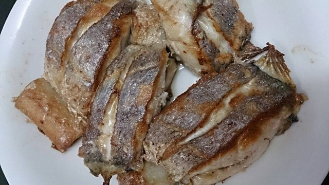 鹭岛小鱿鱼主图