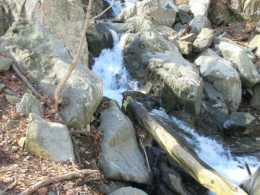Turkey Run Park-麦克莱恩必去景点