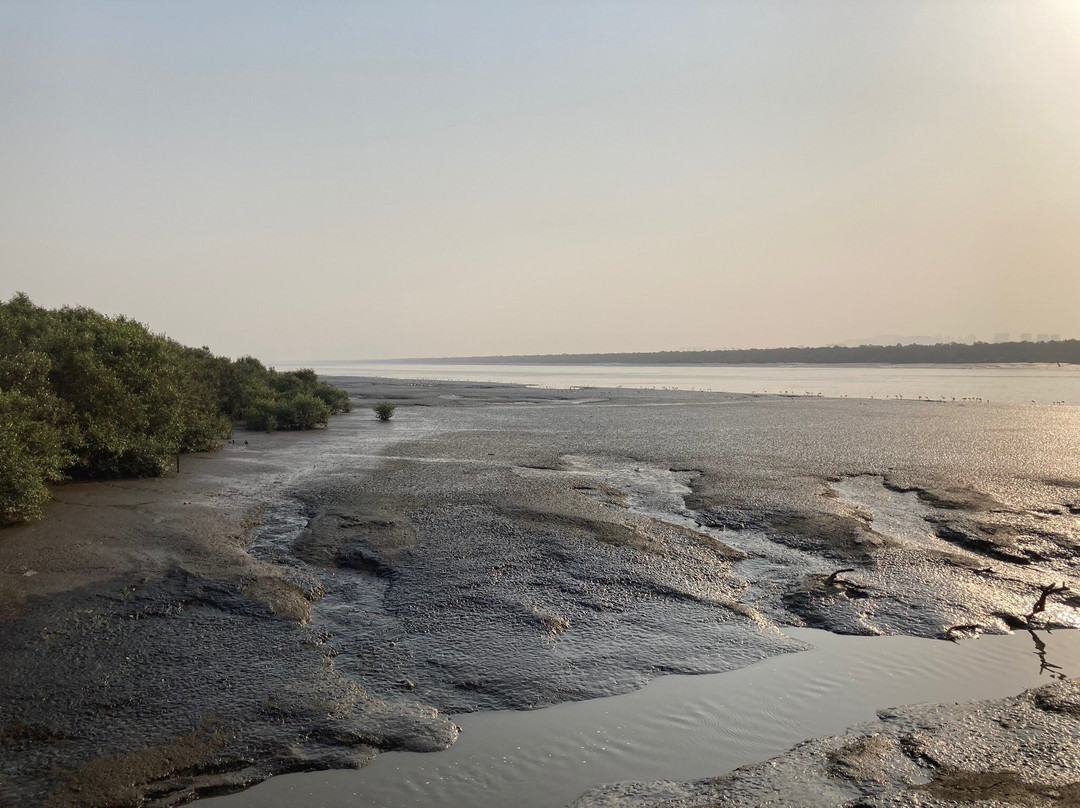 Thane Creek Flamingo Sanctuary景点图片