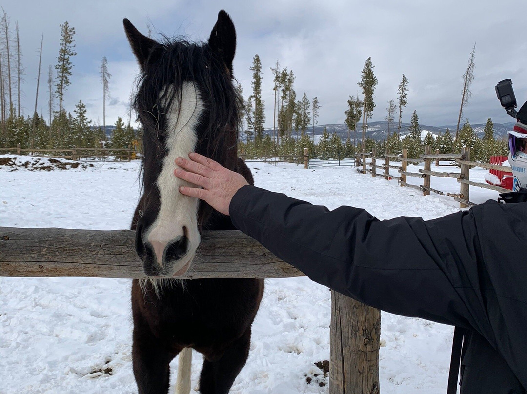 Dashing Thru The Snow-Fraser必去景点