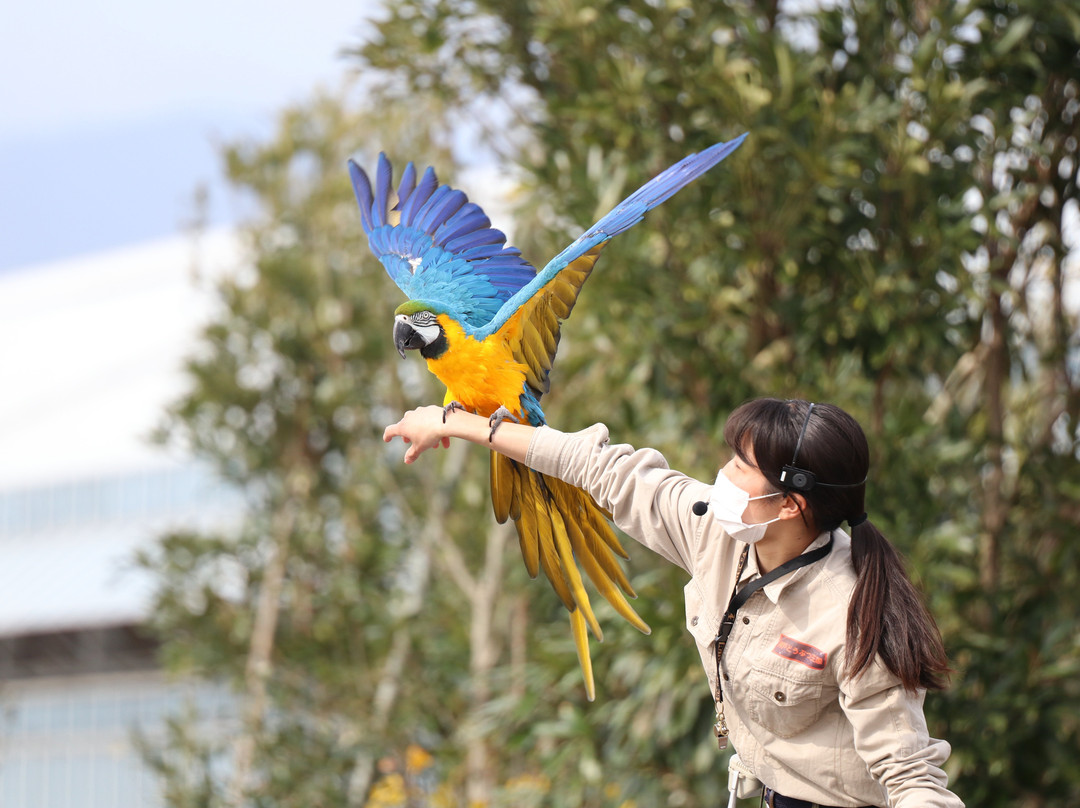 神戶動物王國景点图片