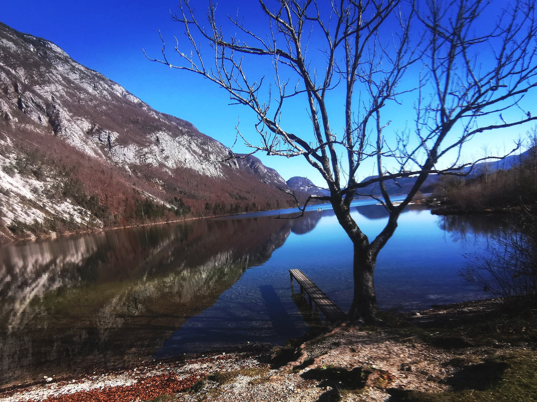 Taxi Bohinj-Bohinjska Bistrica必去景点